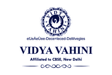 Vidya Valley School